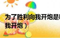 为了胜利向我开炮是哪部电视剧（为了胜利向我开炮）