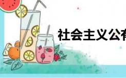 社会主义公有制经济包括