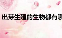 出芽生殖的生物都有哪些（出芽生殖的生物）