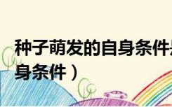 种子萌发的自身条件是哪三个（种子萌发的自身条件）