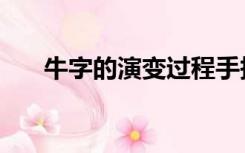 牛字的演变过程手抄报（牛字的演变）