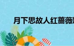 月下思故人红蔷薇歌曲（红蔷薇歌曲）