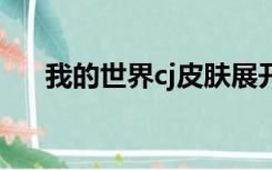 我的世界cj皮肤展开图（我的世界cjb）