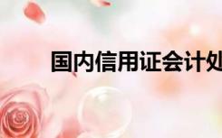 国内信用证会计处理（国内信用证）
