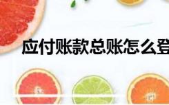 应付账款总账怎么登记（总账怎么登记）