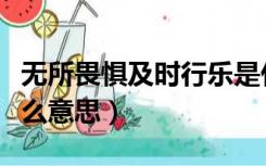 无所畏惧及时行乐是什么意思（及时行乐是什么意思）