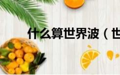 什么算世界波（世界波是什么意思）