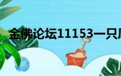金佛论坛11153一只凤凰绕流是什么生肖？