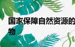 国家保障自然资源的( ),保护珍贵的动物和植物