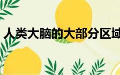 人类大脑的大部分区域在两百年（人类大脑）