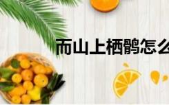 而山上栖鹘怎么读（鹘怎么读）