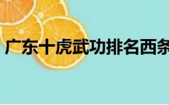 广东十虎武功排名西条（广东十虎武功排名）