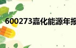 600273嘉化能源年报（600273嘉化能源）