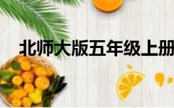 北师大版五年级上册数学教学设计及反思