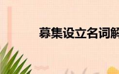 募集设立名词解释（募集设立）