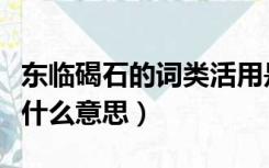 东临碣石的词类活用是什么意思（词类活用是什么意思）