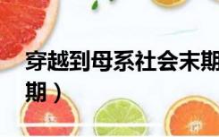穿越到母系社会末期 阅读（穿越母系社会末期）