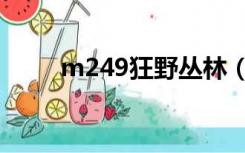 m249狂野丛林（m249丛林之王）
