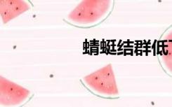 蜻蜓结群低飞（蜻蜓结）