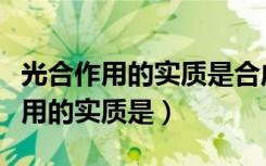 光合作用的实质是合成什么储存能量（光合作用的实质是）