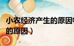小农经济产生的原因特点评价（小农经济产生的原因）