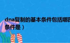 dna复制的基本条件包括哪四个方面（DNA复制所需的基本条件是）