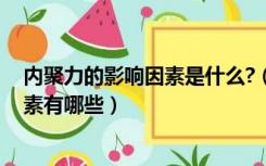 内聚力的影响因素是什么?（什么是内聚力 影响内聚力的因素有哪些）
