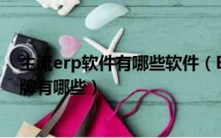 主流erp软件有哪些软件（ERP软件品牌有哪些 ERP软件品牌有哪些）