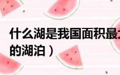 什么湖是我国面积最大的湖泊（我国面积最大的湖泊）