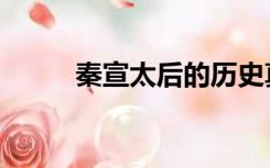 秦宣太后的历史真实（秦宣太后）