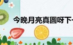 今晚月亮真圆呀下一句是（今晚月亮）