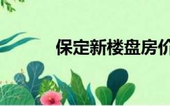保定新楼盘房价（保定新楼盘）