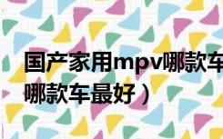 国产家用mpv哪款车更适合家用（家用mpv哪款车最好）