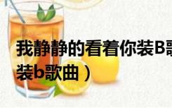 我静静的看着你装B歌曲（我就静静的看着你装b歌曲）