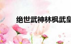 绝世武神林枫武皇（林枫绝世武神）