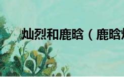 灿烈和鹿晗（鹿晗灿烈与你泳池play）