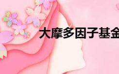 大摩多因子基金（大摩多因子）