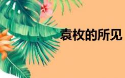 袁枚的所见（袁牧简介）