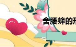 舍腰蜂的形状和习性