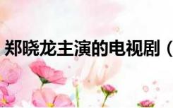 郑晓龙主演的电视剧（郑小龙导演的电视剧）
