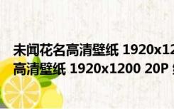 未闻花名高清壁纸 1920x1200 20P 绿色免费版（未闻花名高清壁纸 1920x1200 20P 绿色免费版功能简介）
