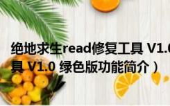 绝地求生read修复工具 V1.0 绿色版（绝地求生read修复工具 V1.0 绿色版功能简介）