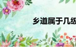 乡道属于几级公路（乡道）