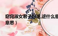 窈窕淑女君子好逑,逑什么意思（窈窕淑女 君子好逑是什么意思）