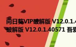 向日葵VIP破解版 V12.0.1.40571 吾爱破解版（向日葵VIP破解版 V12.0.1.40571 吾爱破解版功能简介）