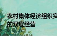 农村集体经济组织实行( )为基础、统分结合的双层经营