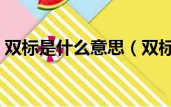 双标是什么意思（双标是什么意思网络用语）