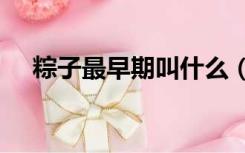 粽子最早期叫什么（1 粽子最早叫什么）