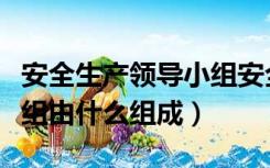 安全生产领导小组安全职责（安全生产领导小组由什么组成）