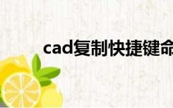cad复制快捷键命令ctrl c不能用了